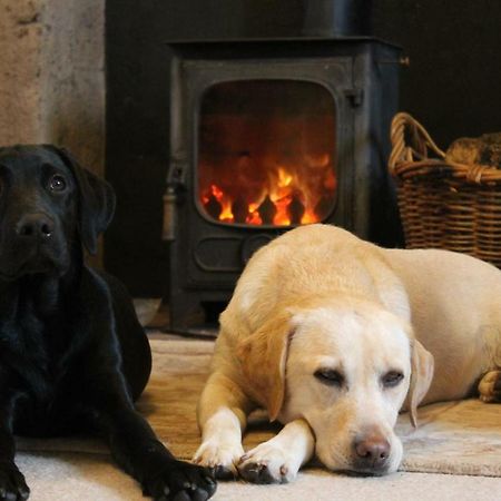 Cardross Holiday Cottages Arnprior Bagian luar foto