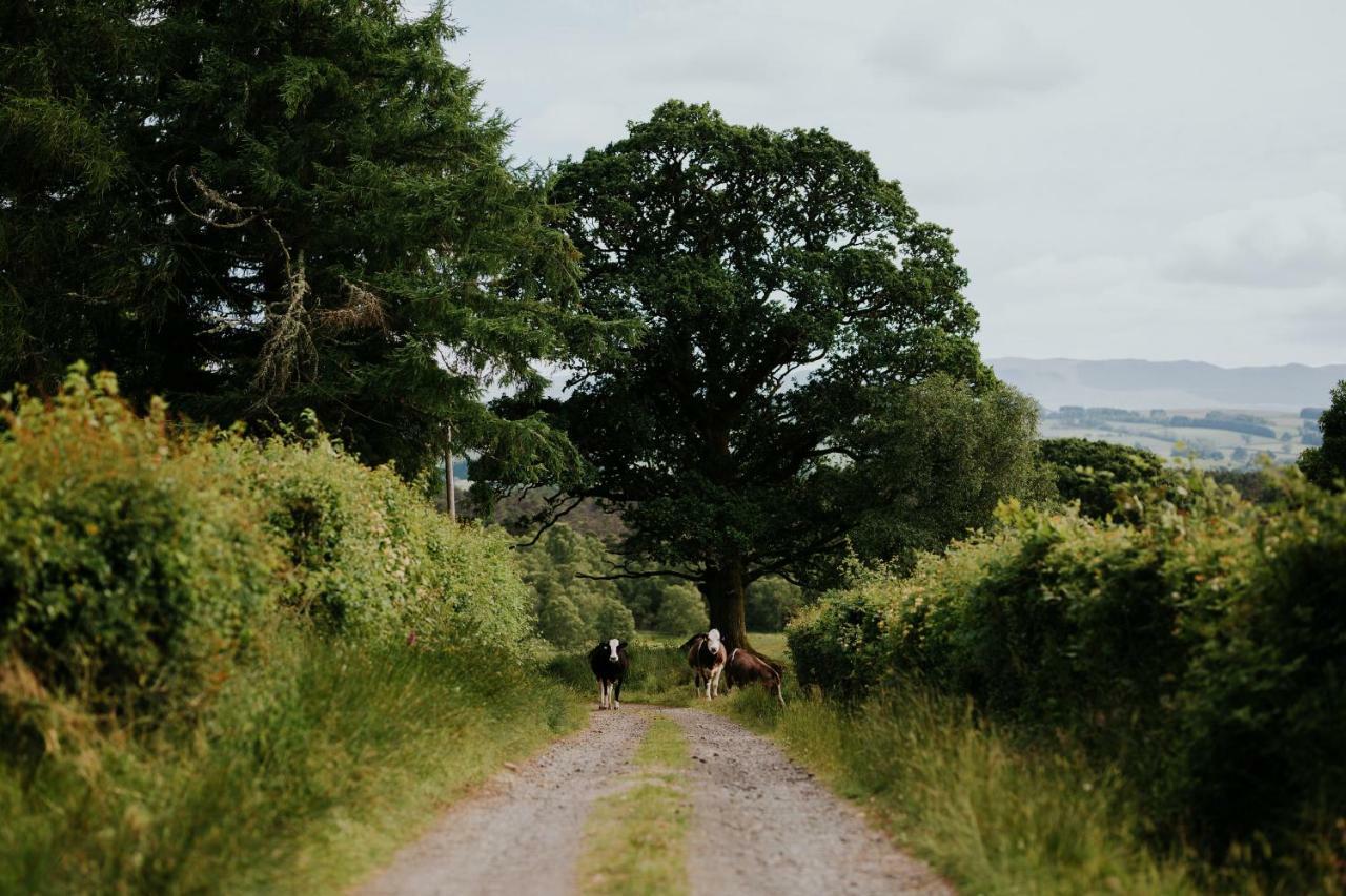 Cardross Holiday Cottages Arnprior Bagian luar foto
