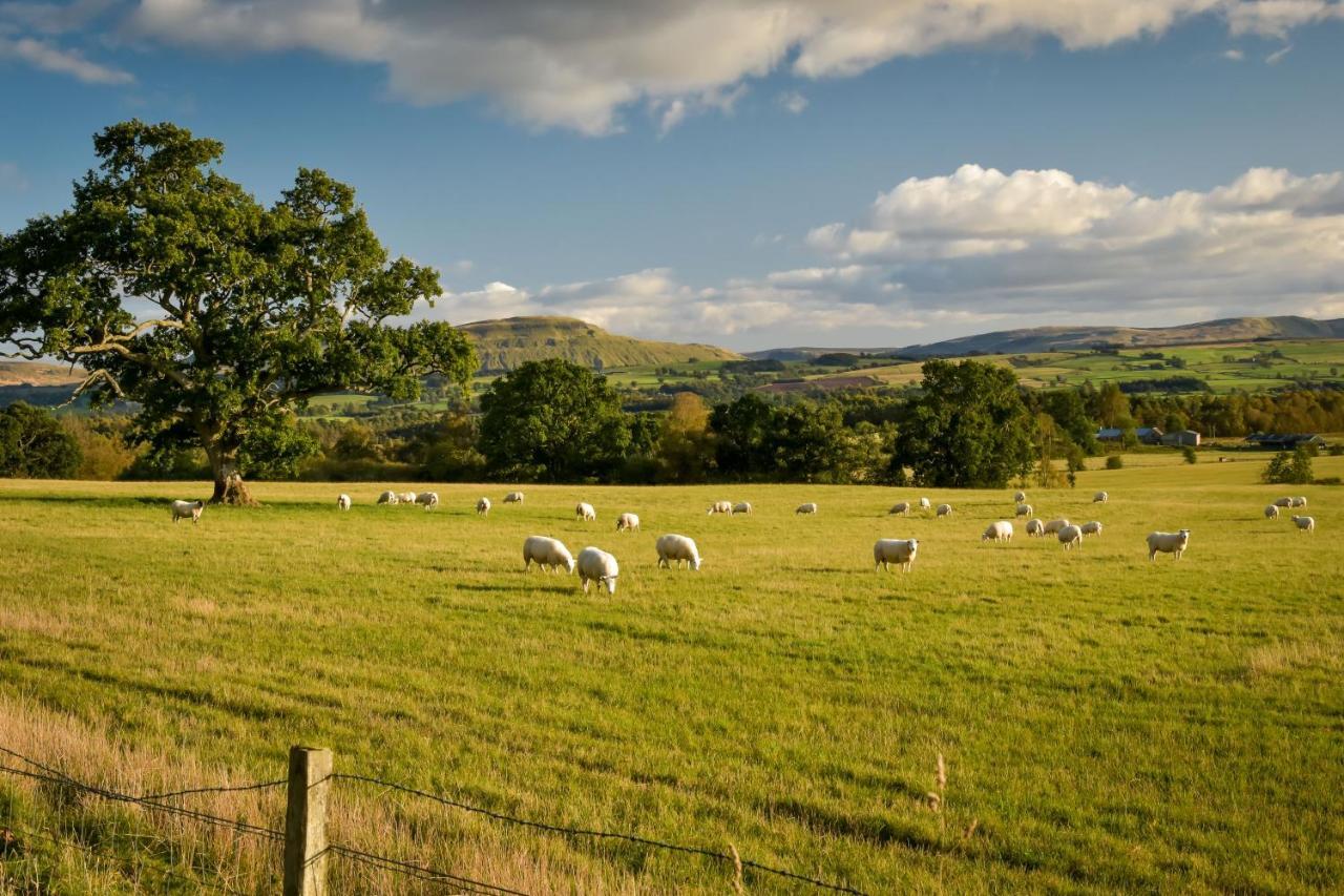 Cardross Holiday Cottages Arnprior Bagian luar foto