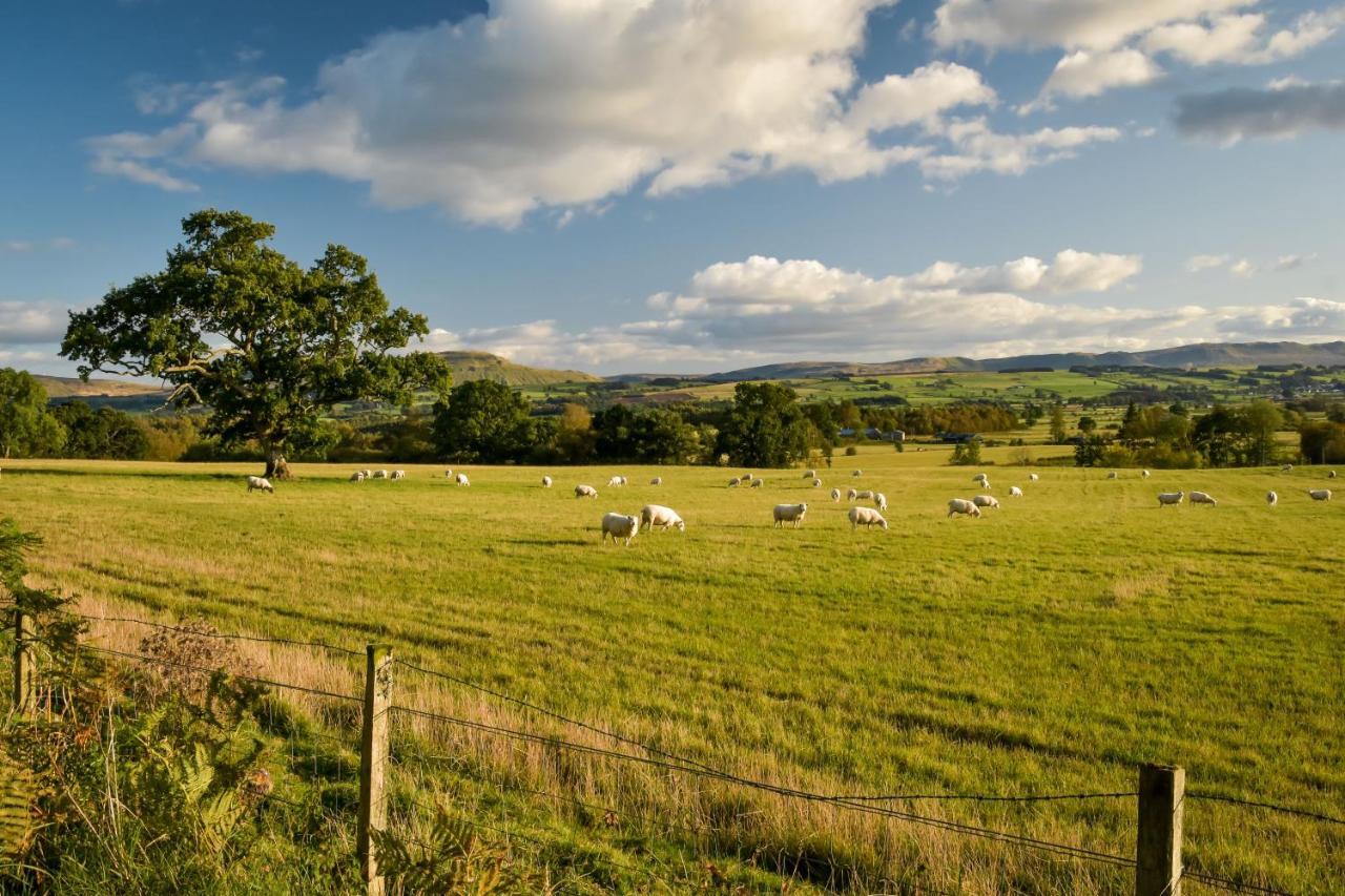 Cardross Holiday Cottages Arnprior Bagian luar foto